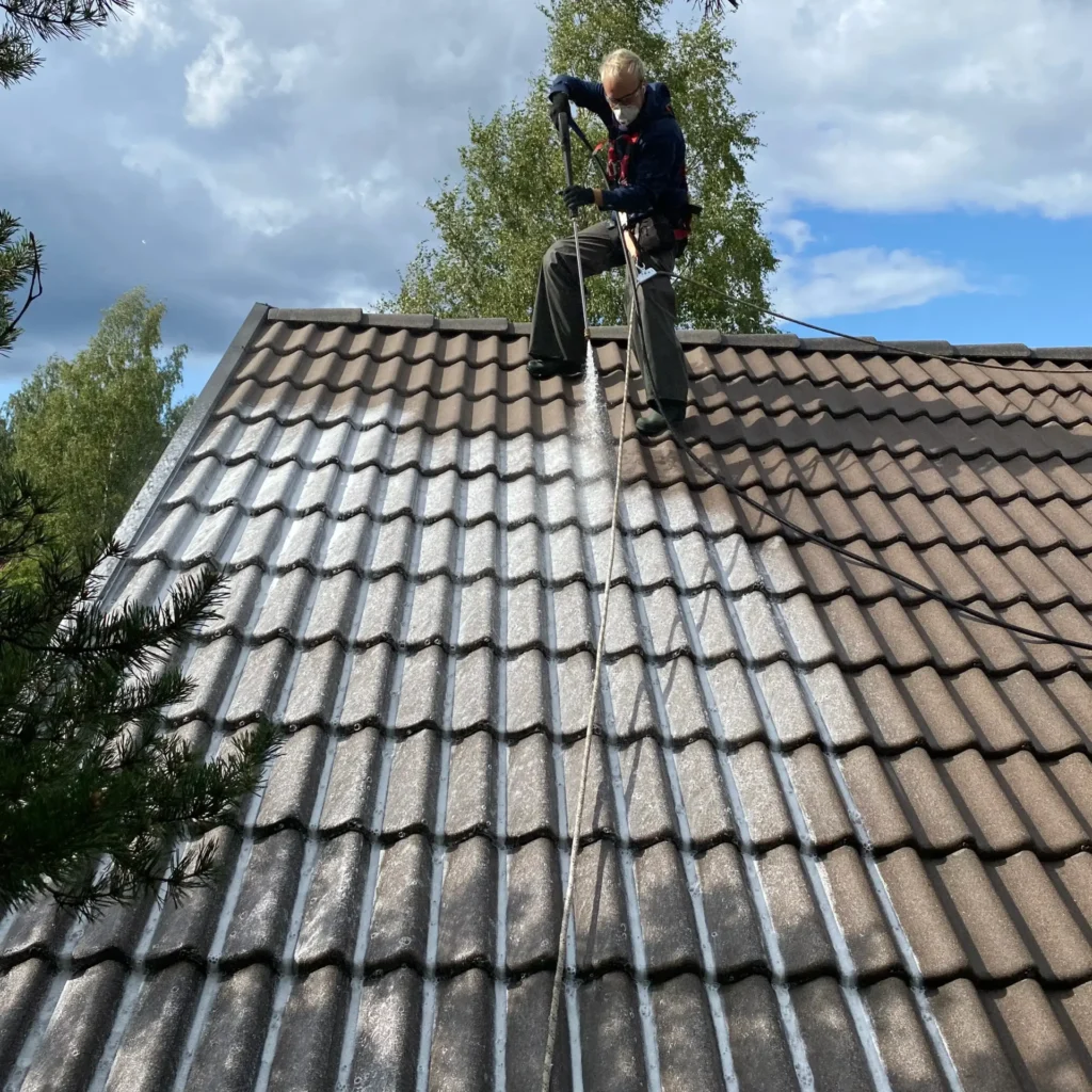 katon pesua pirkanmaalla